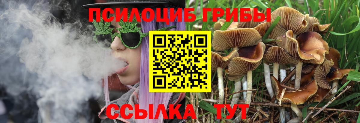 Псилоцибиновые грибы ЛСД  Вход с VPN  Псилоцибиновые грибы MAGIC MUSHROOMS  Новокузнецк 